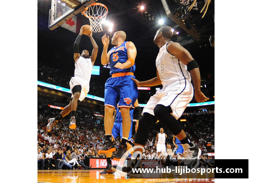 立即博NBA直播：热火vs尼克斯，火热对决势不可挡 - 副本